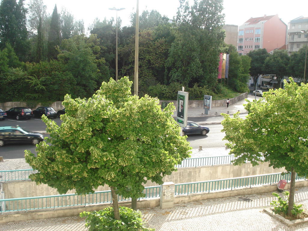 Center Garden Luxury Apartment Lizbona Pokój zdjęcie